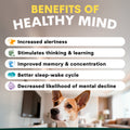 Brain Support for Dogs