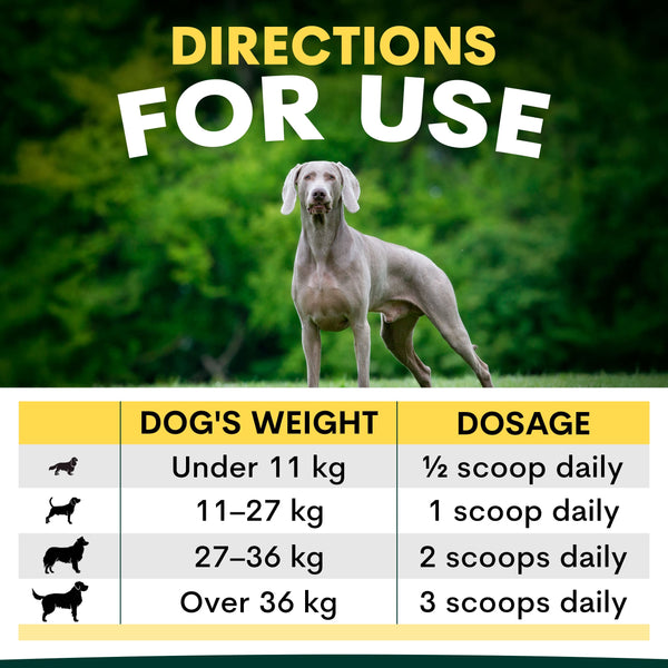 Senior Dog Supplements | Brain & Joint Support | Petz Park Senior Dog Supplements | Brain & Joint Support | Petz Park