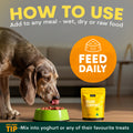 Brain Support for Dogs