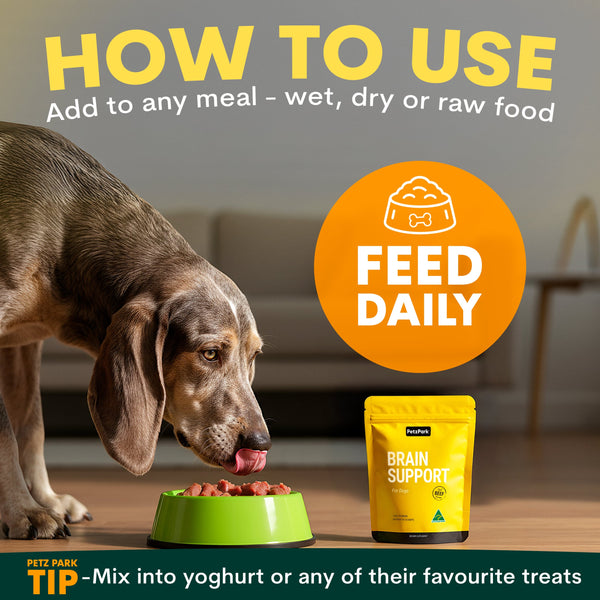 Brain Support for Dogs