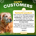 Brain Support for Dogs