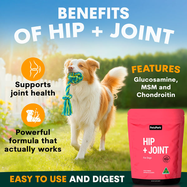 Hip & Joint Glucosamine Supplement for Dogs | Vet-Formulated