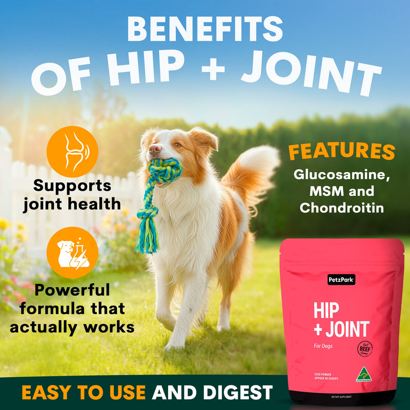 Hip + Joint for Dogs