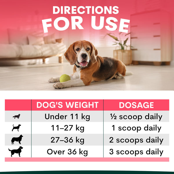 dosage recommendations hip and joint supplements 