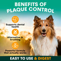 Dog with benefits of plaque control text and icons on a green background. Benefits of using petz park plaque control