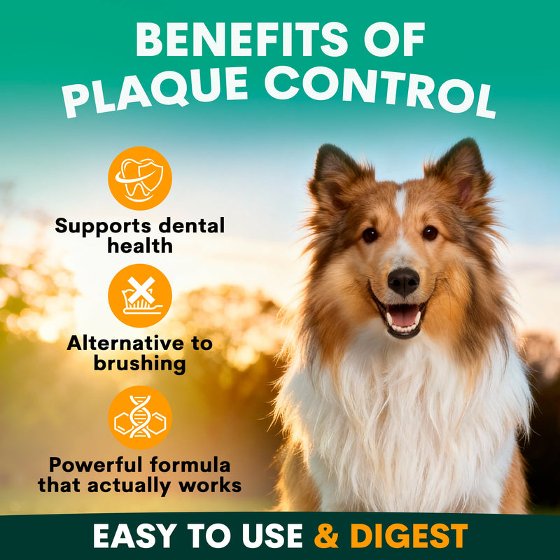 Plaque Control for Dogs