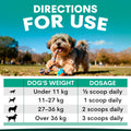 Dog playing with a toy in a park with a dosage chart for a supplement on a green background. Plaque Control for Dogs dosage recommendations