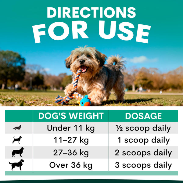 Dog playing with a toy in a park with a dosage chart for a supplement on a green background. Plaque Control for Dogs dosage recommendations