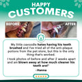 Before and after comparison of a dog's teeth with text and a customer review on a green background. Petz Park Plaque Control reviews