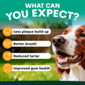 Dog with dental health benefits listed on a green background. What to expect from using petz park dental products