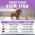 Dog with a purple toy and dosage chart for a pet product on a light background. Stress and anxiety for dogs supplement dosage recommendation