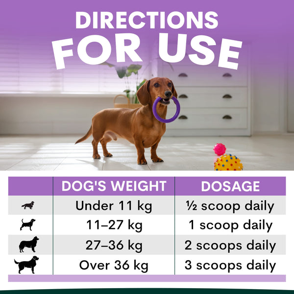 Dog with a purple toy and dosage chart for a pet product on a light background. Stress and anxiety for dogs supplement dosage recommendation