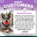 Dog with a red ball in its mouth, surrounded by text about a product's effectiveness on a customer named Carole B. Petz Park stress and anxiety supplements reviews