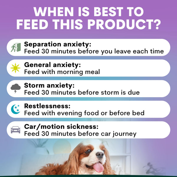 Chart detailing when to feed a product for various dog behaviors with a dog image at the bottom. When to feed anxiety supplement to dog