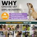 Advertisement for a pet product brand with images of dogs and text about honesty, transparency, and customer trust.