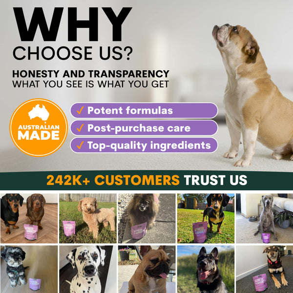 Advertisement for a pet product brand with images of dogs and text about honesty, transparency, and customer trust.