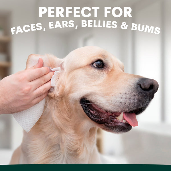 Dog being groomed with a towel, text 'Perfect for Faces, Ears, Bellies & Bums' above.