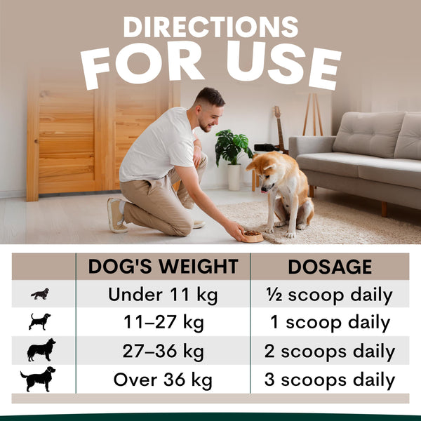 Man kneeling with a dog on a carpeted floor, with a chart detailing dog dosage based on weight.
