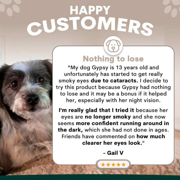 Dog with testimonial about product improving vision, on a beige background