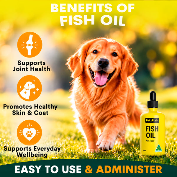 Golden retriever on grass beside Petz Park Fish Oil for Dogs, with benefits for joint health, skin and coat, and everyday wellbeing