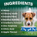 Dog drinking from a bowl with ingredients listed on a green background