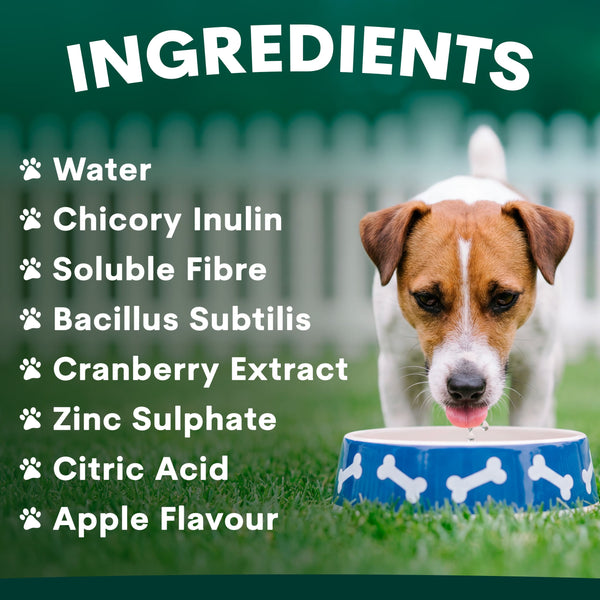 Dog drinking from a bowl with ingredients listed on a green background