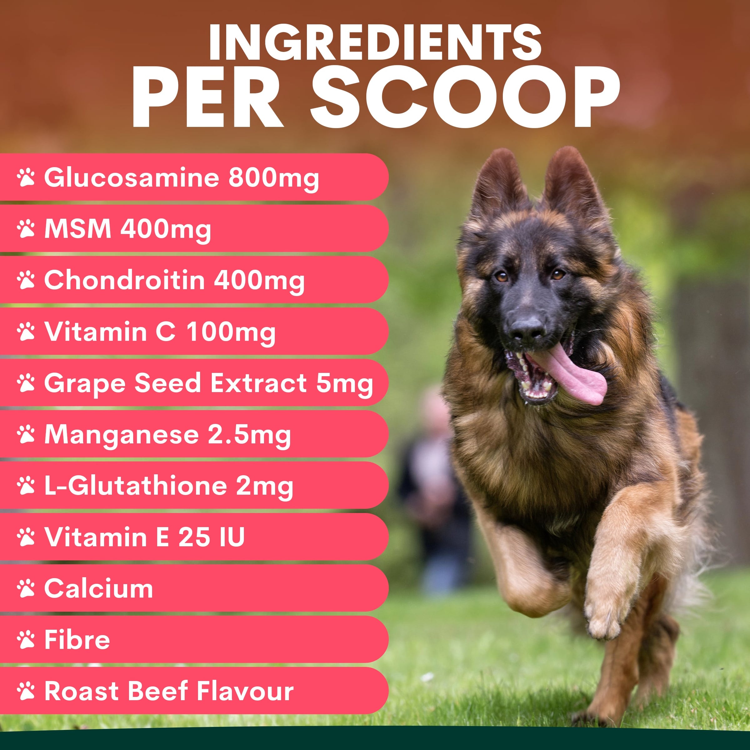 Hip & Joint Glucosamine Supplement for Dogs | Vet-Formulated | Petz Park Hip & Joint Glucosamine Supplement for Dogs | Vet-Formulated | Petz Park