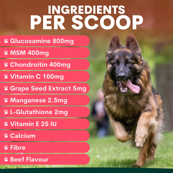 Dog running on grass with supplement ingredient list on a brown background