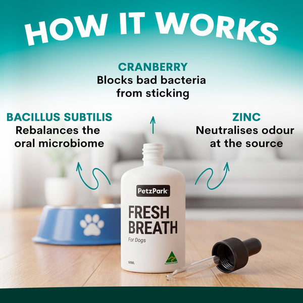 Petz Park Fresh Breath product for dogs with text explaining how it works on a blurred background.