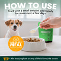 Probiotics for Dogs