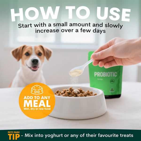 Probiotics for Dogs