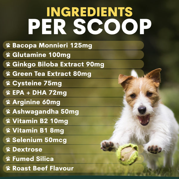 Brain Support for Dogs