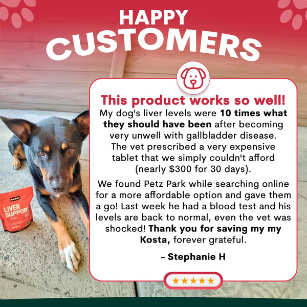 Dog with a product and testimonial about its effectiveness on a red and white background