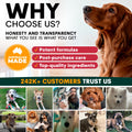 Advertisement for a pet product brand with a dog on the right side and text about honesty, transparency, and customer trust on the left.