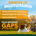 Advertisement for multivitamin benefits with a child and dog in a field.