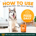 Dog with a multivitamin supplement and text on how to use it