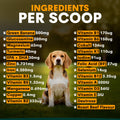 Ingredients of Multivitamin for Dogs Supplement