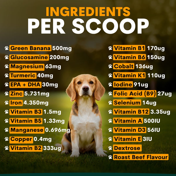Ingredients of Multivitamin for Dogs Supplement