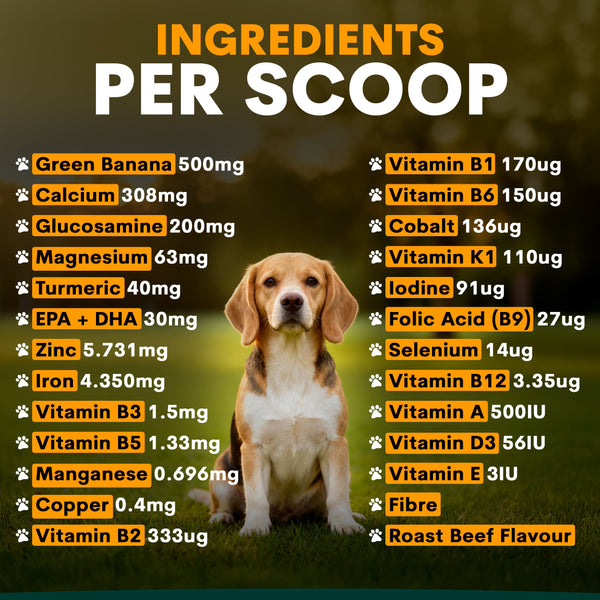 Dog sitting on grass with a list of ingredients per scoop displayed above it.
