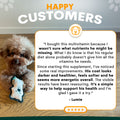 Dog with a multivitamin supplement and a testimonial about its effects on the dog's health.