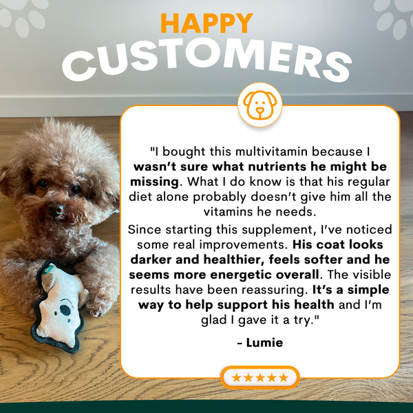 Dog with a multivitamin supplement and a testimonial about its effects on the dog's health.