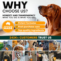 Why choose Petz Park