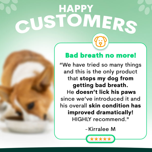 Product advertisement for a dog product with a customer testimonial on a green background. Petz Park Probiotic for Dogs reviews