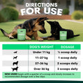 Probiotics for Dogs