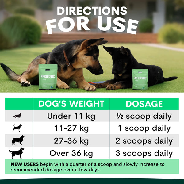 Two dogs on grass with probiotic supplement packaging and dosage chart.