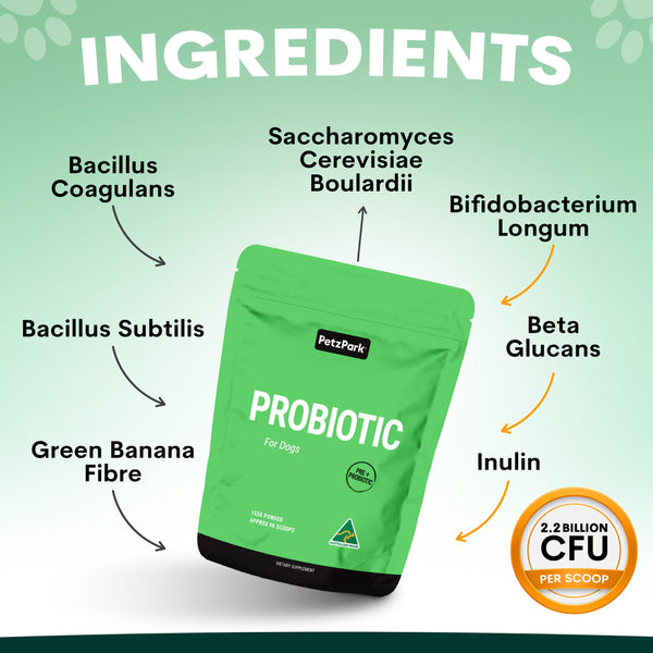 Probiotics for Dogs