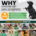 Probiotics for Dogs