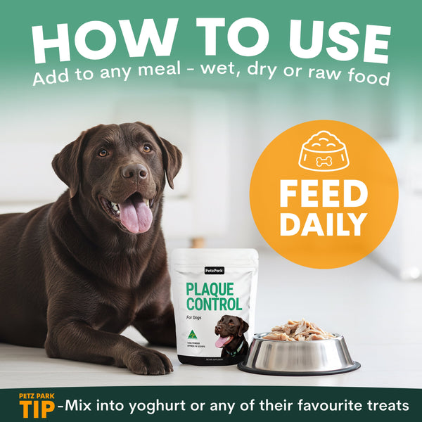 Dog with Plaque Control for dogs packaging and bowl of food on a light background. How to use plaque control for dogs