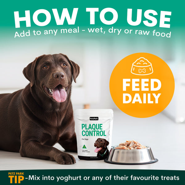 Dog with Plaque Control for dogs packaging and bowl of food on a white surface