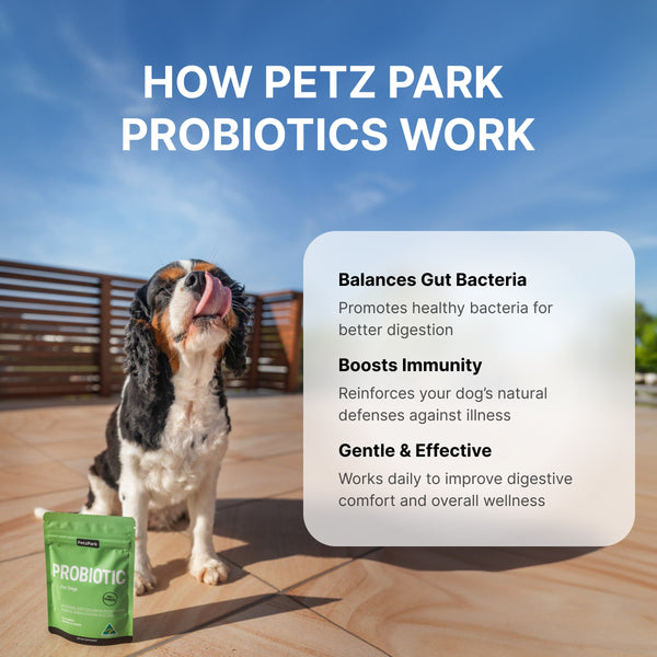 Probiotics for Dogs